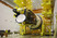 Спутник "Ямал-401" перед накаткой головного обтекателя. Космодром Байконур. Декабрь 2014.